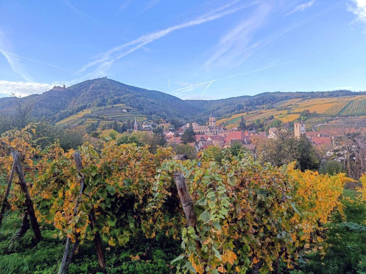 Appartement Un Balcon Sur Les Toits