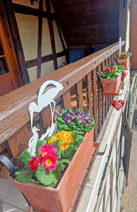 Un Balcon Sur Les Toits Appartement *